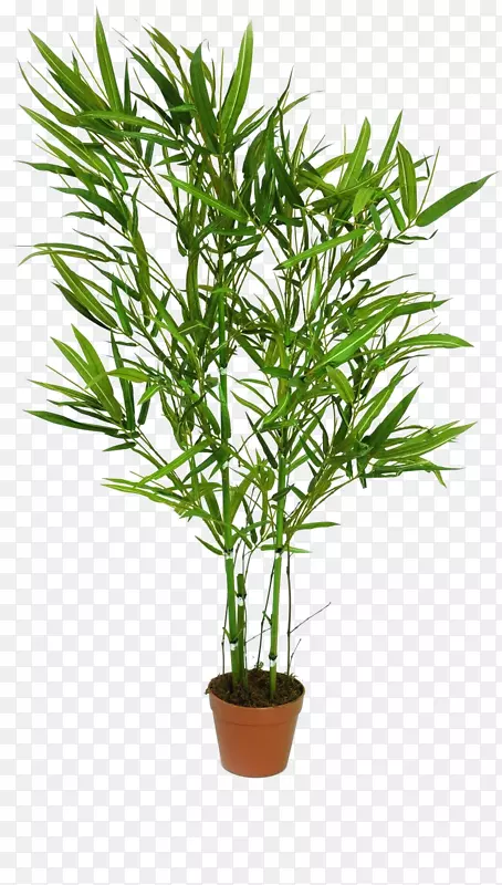 竹树干植物人工花强