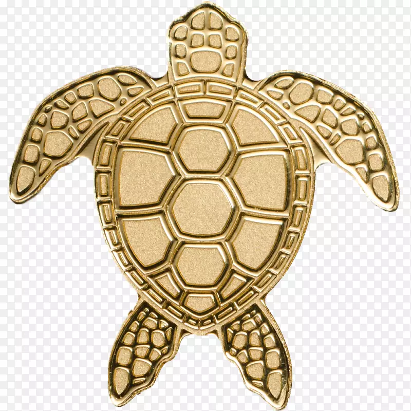 海龟金币帕劳-海龟