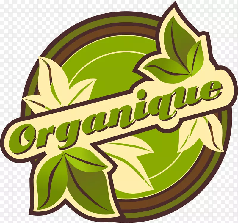 LOGO花期植物绿色水果字体-蔬菜水果店名片设计