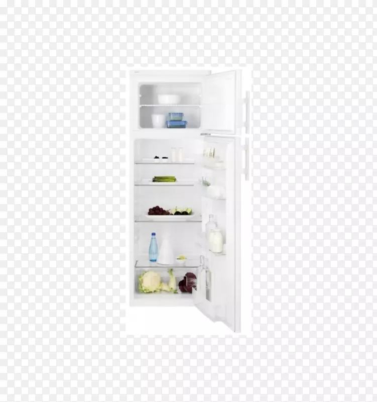 冰箱冷冻箱伊莱克斯家电漩涡公司-冰箱