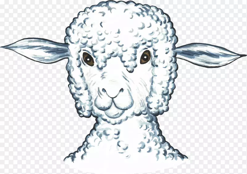 羊兔山羊剪贴画-绵羊