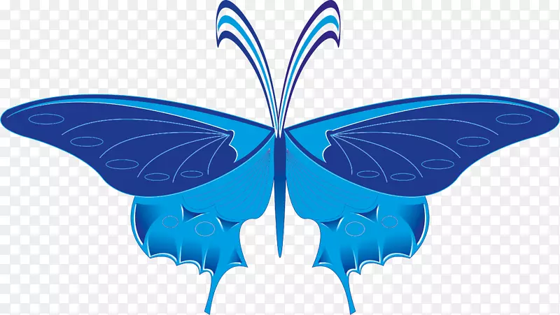 蝴蝶对称微软天蓝色剪贴画-蝴蝶