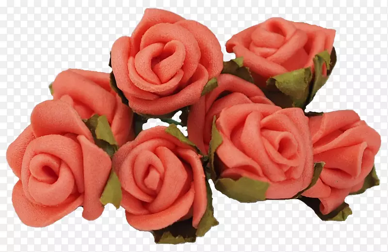 花园玫瑰切花花瓣桃红色