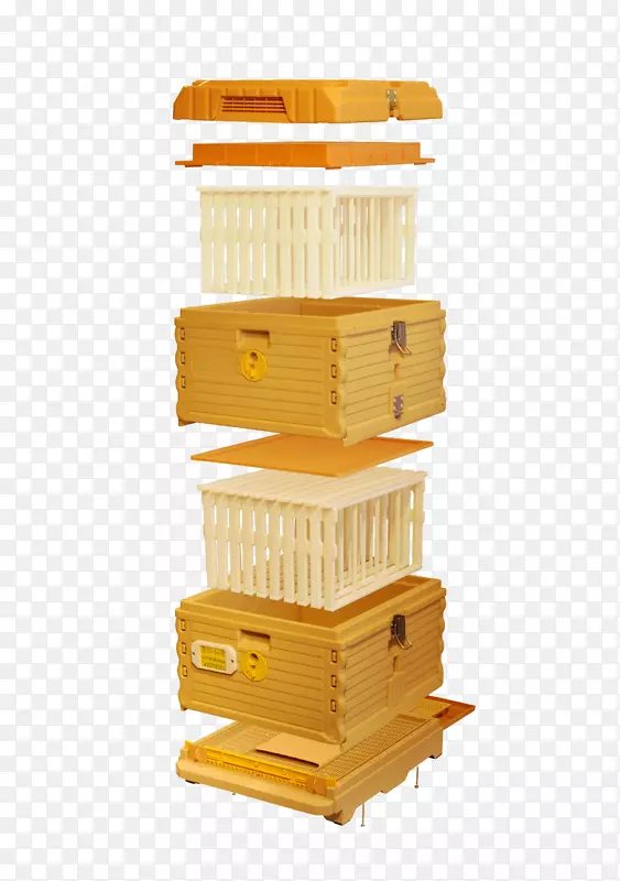 西方蜜蜂蜂巢朗斯特罗斯蜂巢养蜂