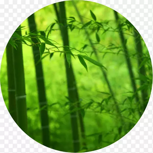 电脑监察纸张制造贴花业