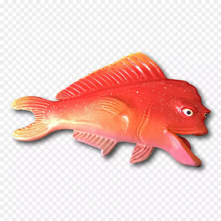 北红笛鲷海洋生物鱼类-鱼类