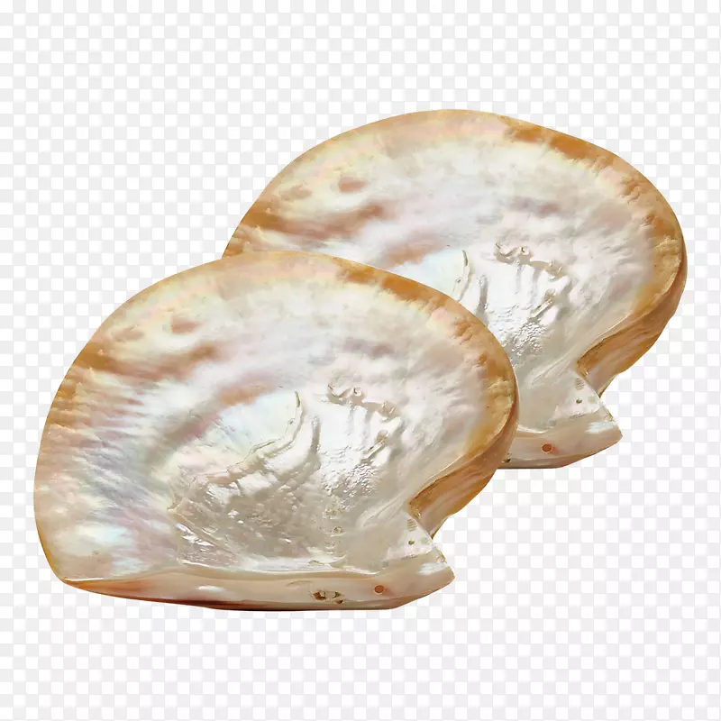 板式珍珠牡蛎鱼子酱匙盘