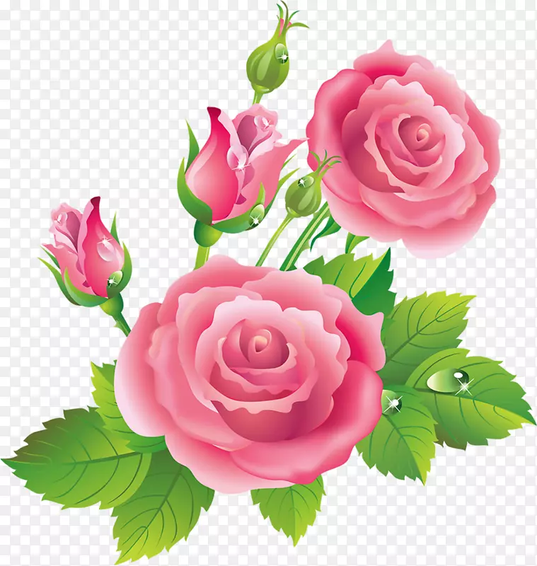 花园玫瑰，蜈蚣玫瑰，蓝色玫瑰剪贴画