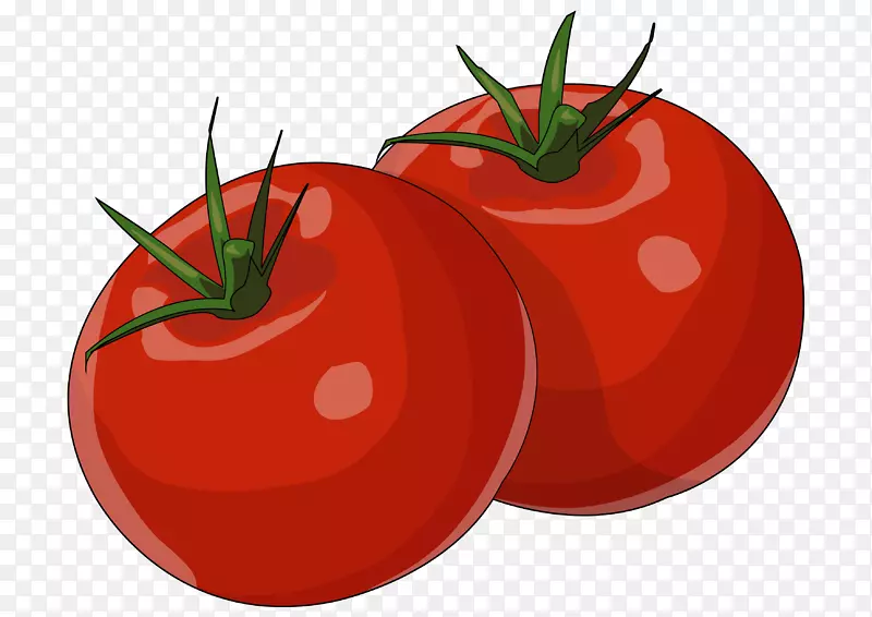 李子番茄灌木番茄食品