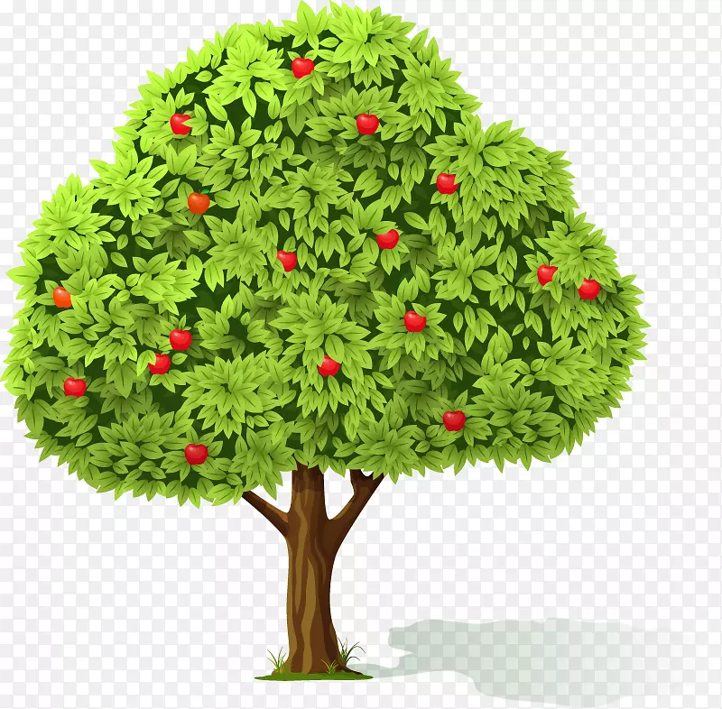 花盆室内植物常绿树剪贴画树