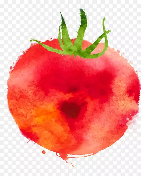 番茄草莓辅料水果天然食品番茄