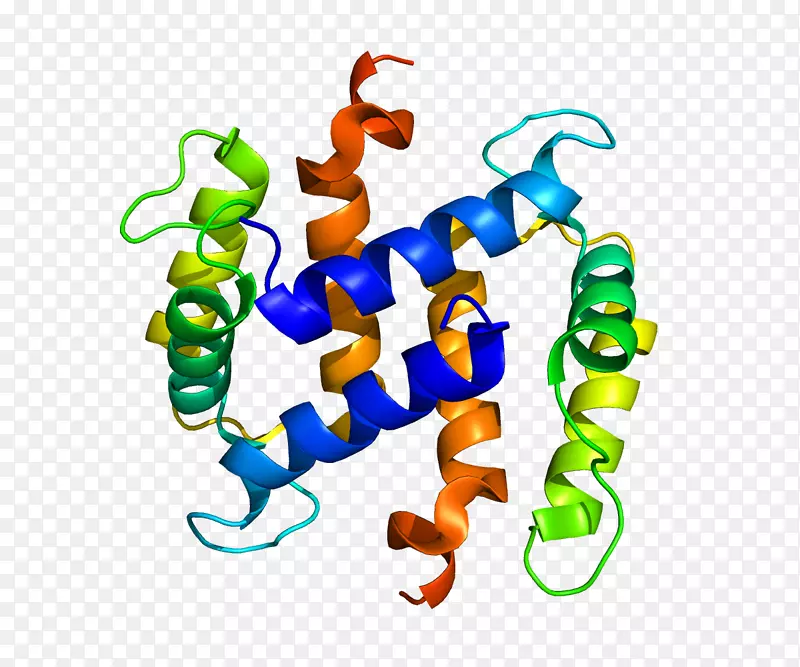 S 100蛋白，s100a2钙结合蛋白