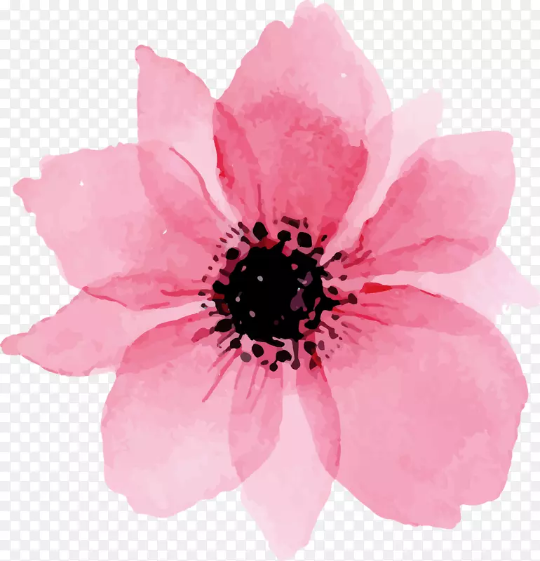 水彩画粉红花卉