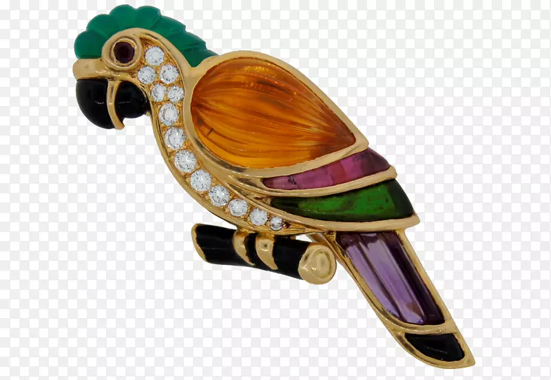宝石耳环胸针梵克莱夫和Arpels珠宝.鹦鹉装饰