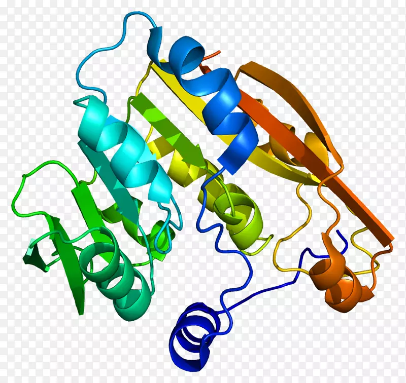 硫嘌呤甲基转移酶药物遗传学巯基嘌呤