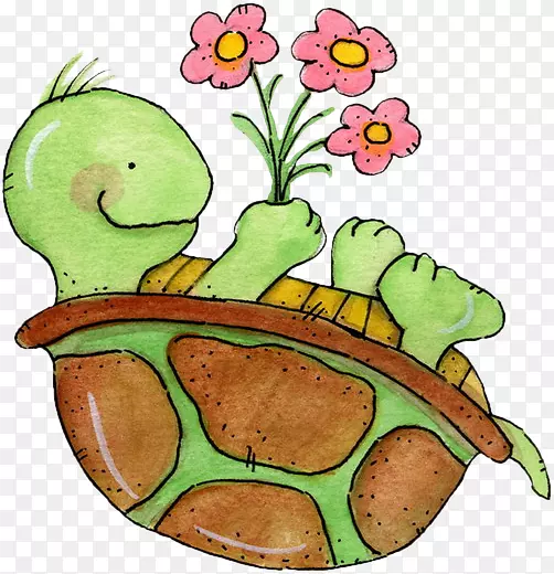 海龟画夹艺术-海龟