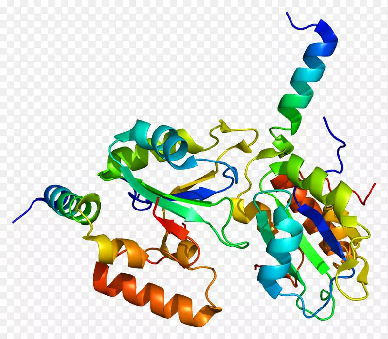 RNA剪接基因SF3B1蛋白剪接体