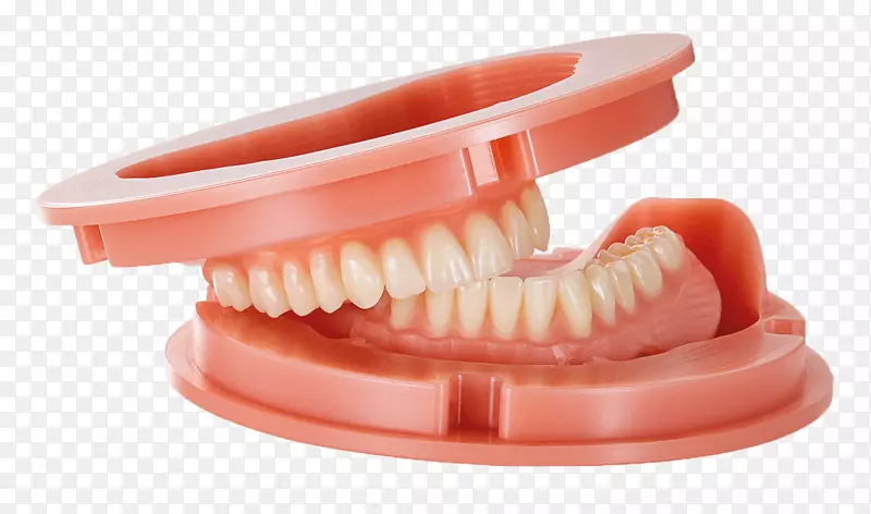 牙齿义齿牙科实验室