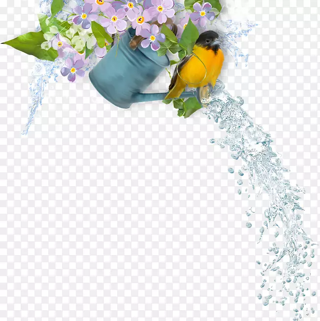花卉设计博客剪贴画