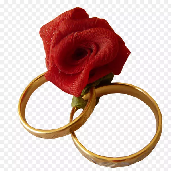 结婚戒指花园玫瑰-戒指