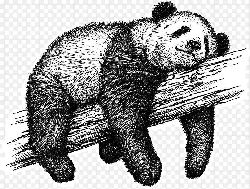 大熊猫素描免版税素描