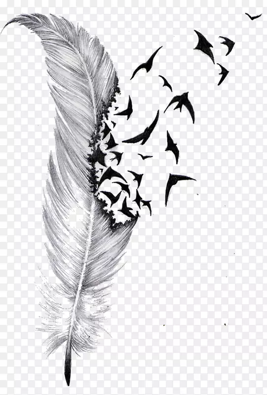 鸟类纹身羽毛覆盖图-鸟