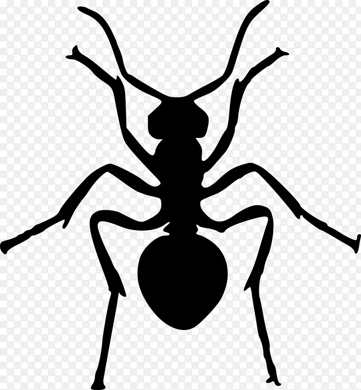 蚂蚁轮廓画夹艺术-昆虫卡通