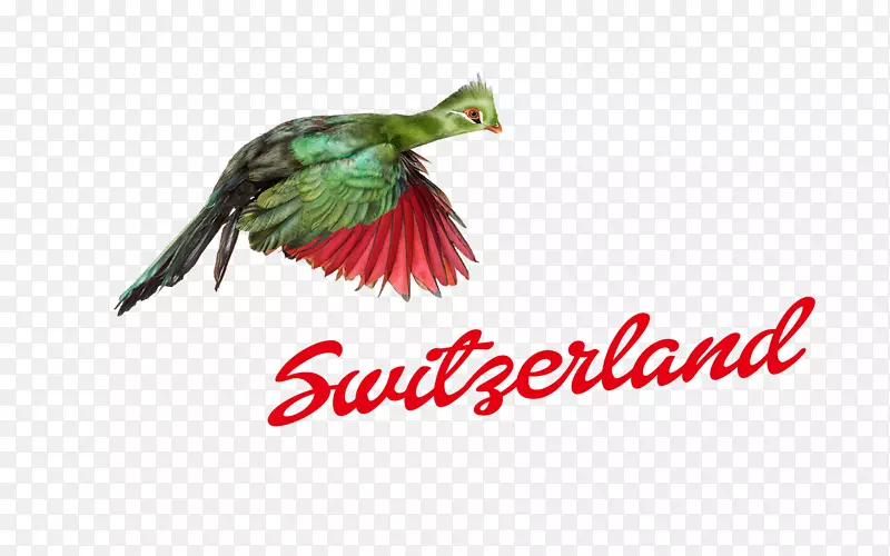 瑞士徽标字体名称