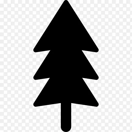 杉木松树-圣诞树