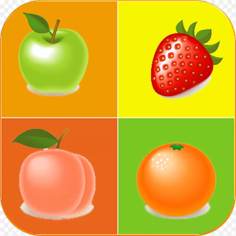 克莱门汀水果，橘子，水母，宠物-水果拼图