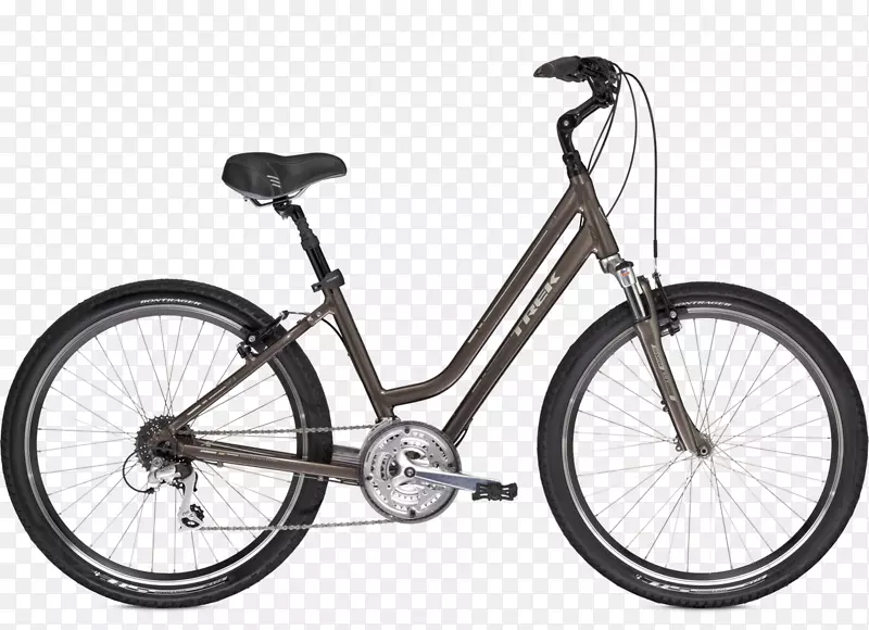 夏洛特港自行车中心自行车公司自行车店混合自行车-双人自行车