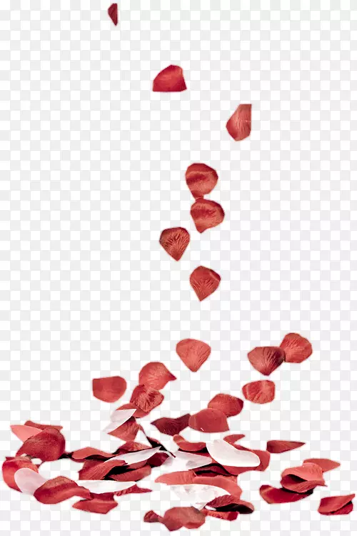 心心相印的情人节-玫瑰花瓣