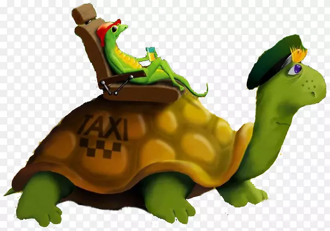 龟爬行动物动画剪贴画-海龟