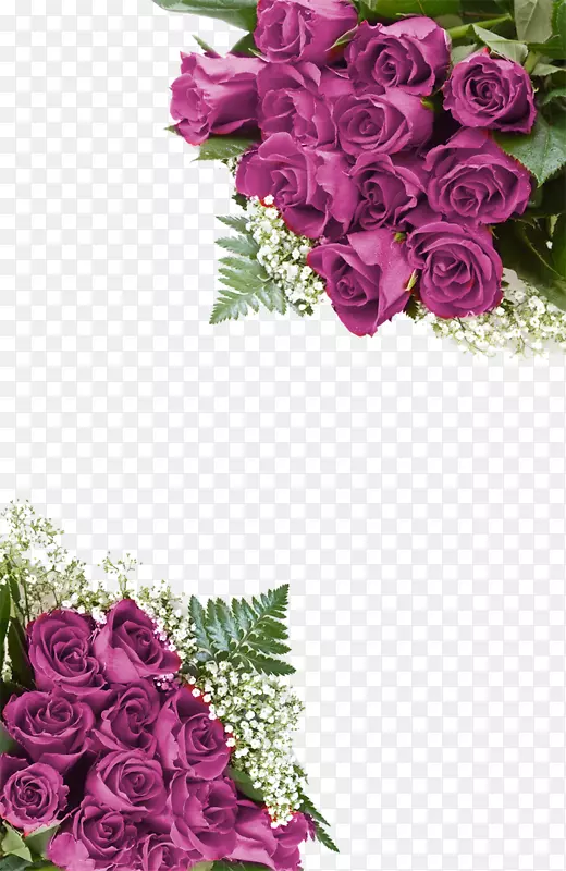 花园玫瑰花桌面壁纸夹艺术-鲜花生日信快乐