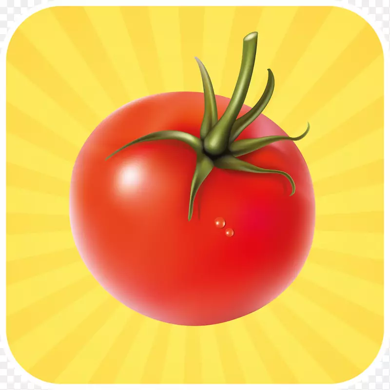 素食菜蔬菜番茄糊状鲜红番茄