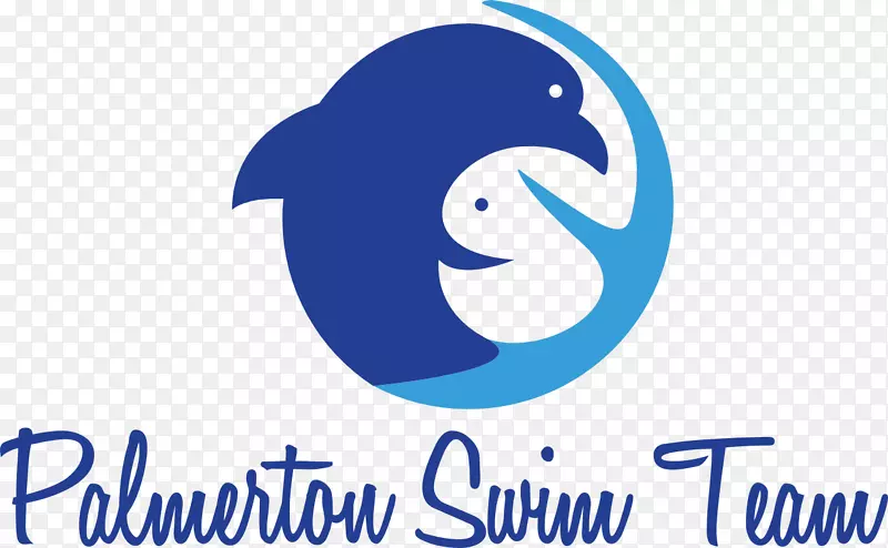 海豚游泳帕默顿纪念公园BB霜2018年注册-游泳比赛