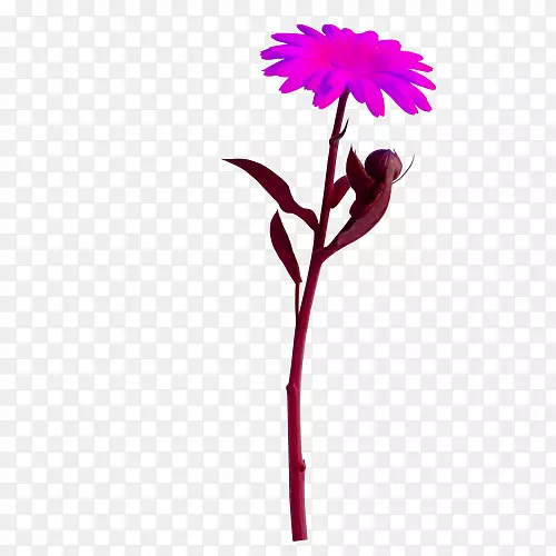 花卉动画剪贴画-花卉
