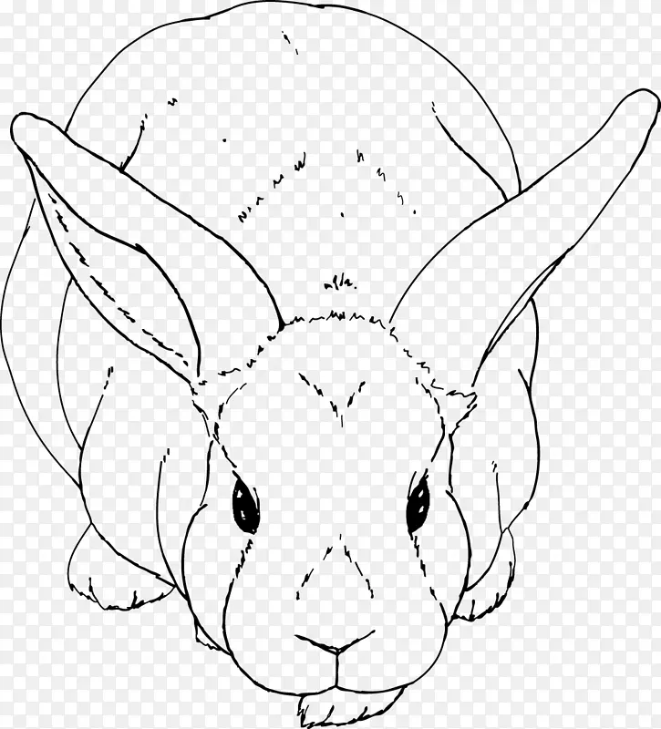 国内兔欧洲兔画线艺术-石子图案