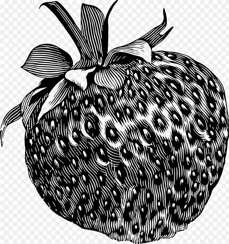 草莓画水果剪贴画-草莓