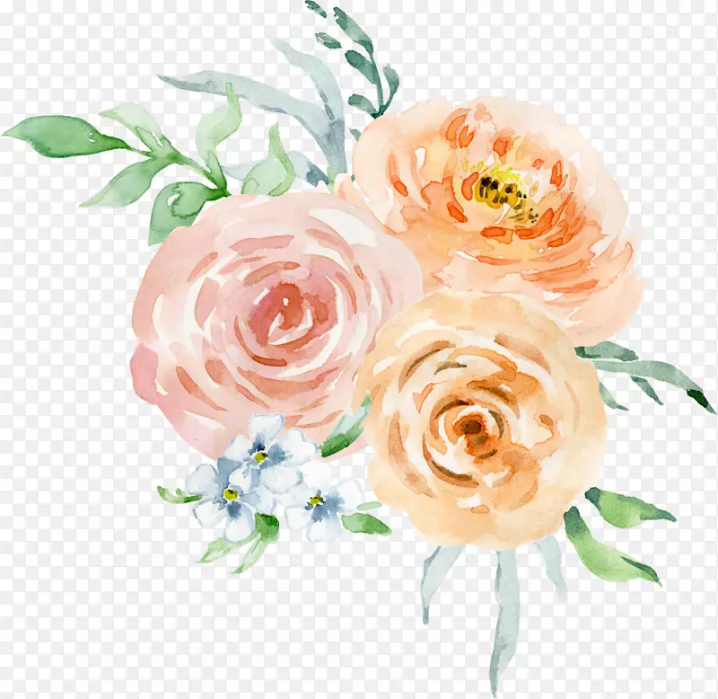 花卉设计花园玫瑰水彩画水彩邀请卡水彩画