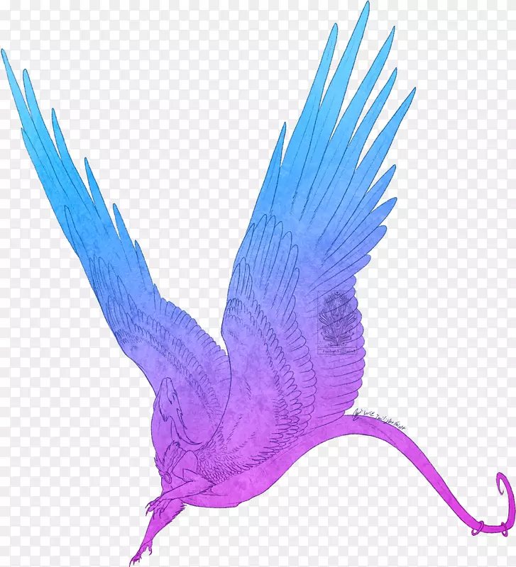 喙羽紫翅若虫