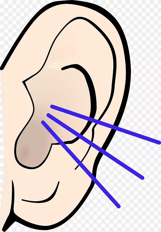 听力剪辑艺术-耳朵