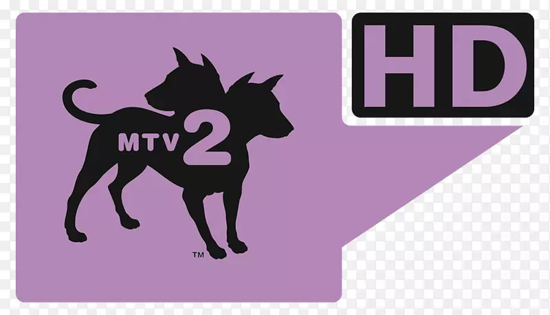 MTV 2电视频道维亚康姆媒体网络标志电视-50%