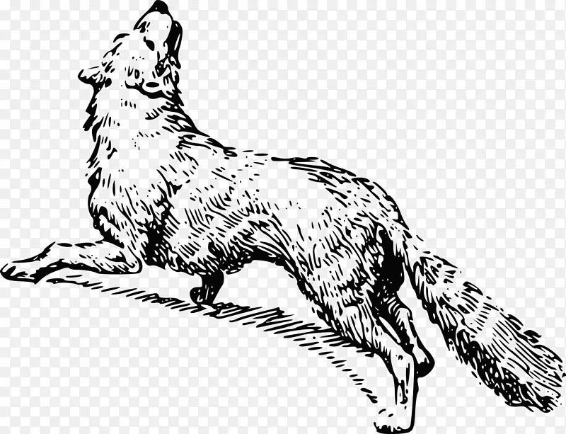 红狐须，黑白北极狐-狐狸外套