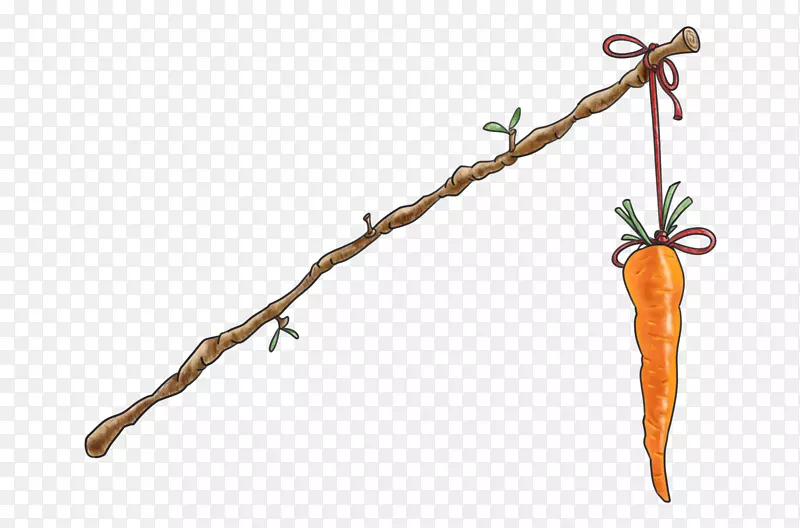 胡萝卜和员工激励-脆胡萝卜