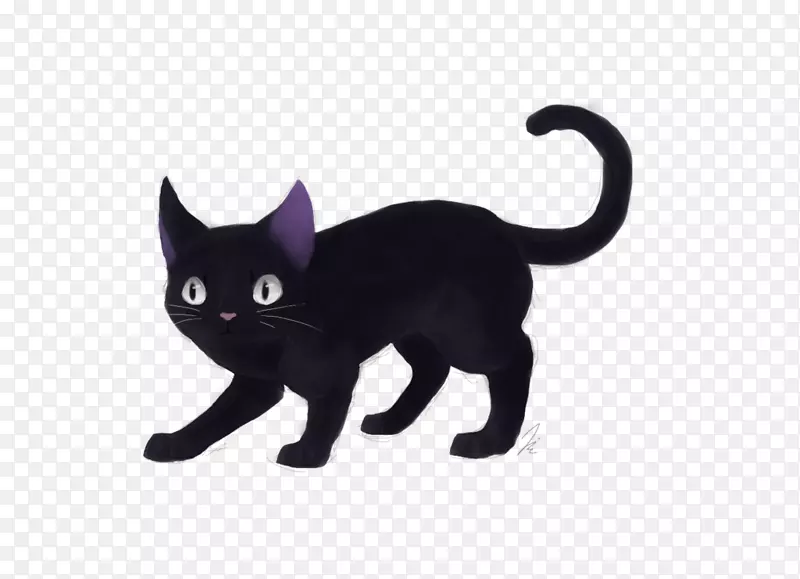 黑猫孟买猫科拉特猫家养短毛猫