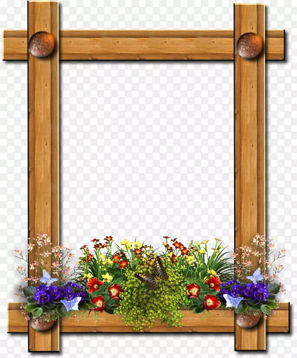 画框花卉设计剪贴簿-花卉