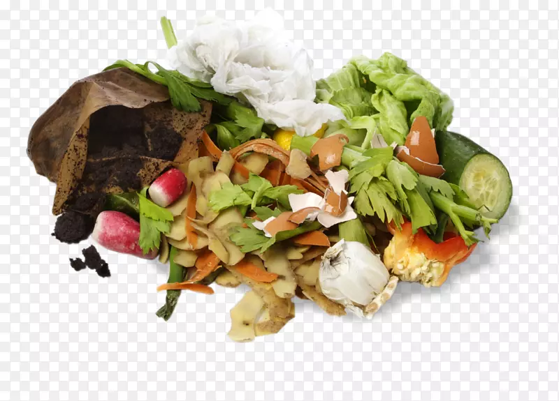 食物废物堆肥素菜