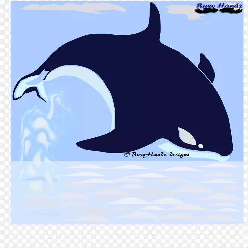 虎鲸普通宽吻海豚图库溪海洋生物桌面壁纸蓝鲸
