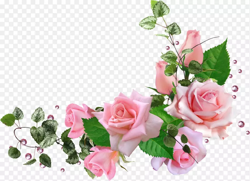 花园玫瑰、蜈蚣玫瑰、花束设计-花